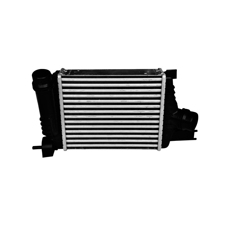 INTERCOOLER DUSTER Quartzauto.ro